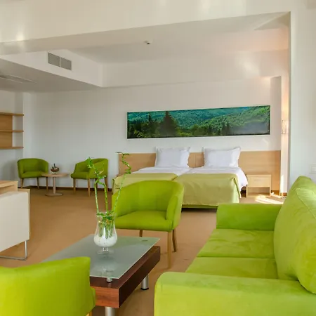 Hotel Complex Silva