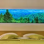 Complex Silva Hotel 4*