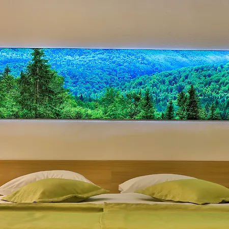 Complex Silva Hotel 4*