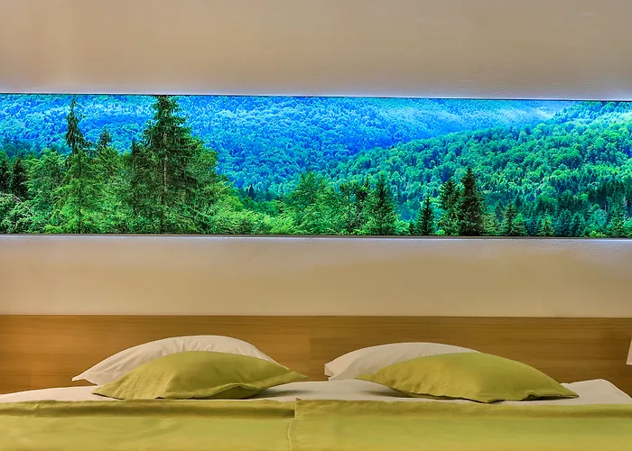 Complex Silva Hotel 4*